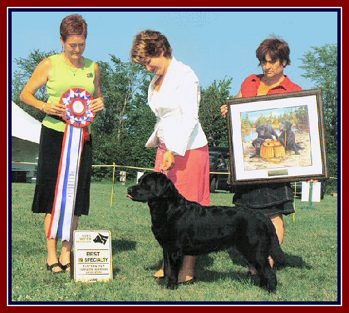 BOB- Ch. Calabria's Classic Black